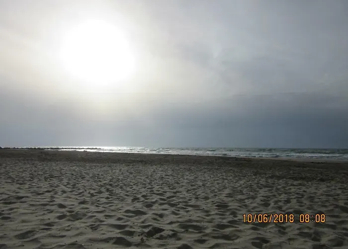 Les Cigales